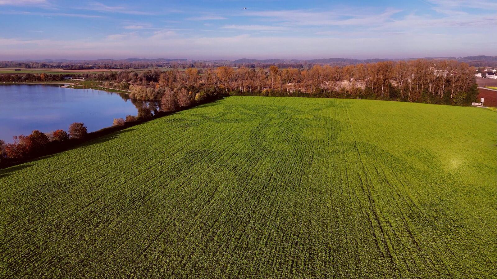 Monumentale Geoglyphe und Feldkunst als Landschaftsmedium