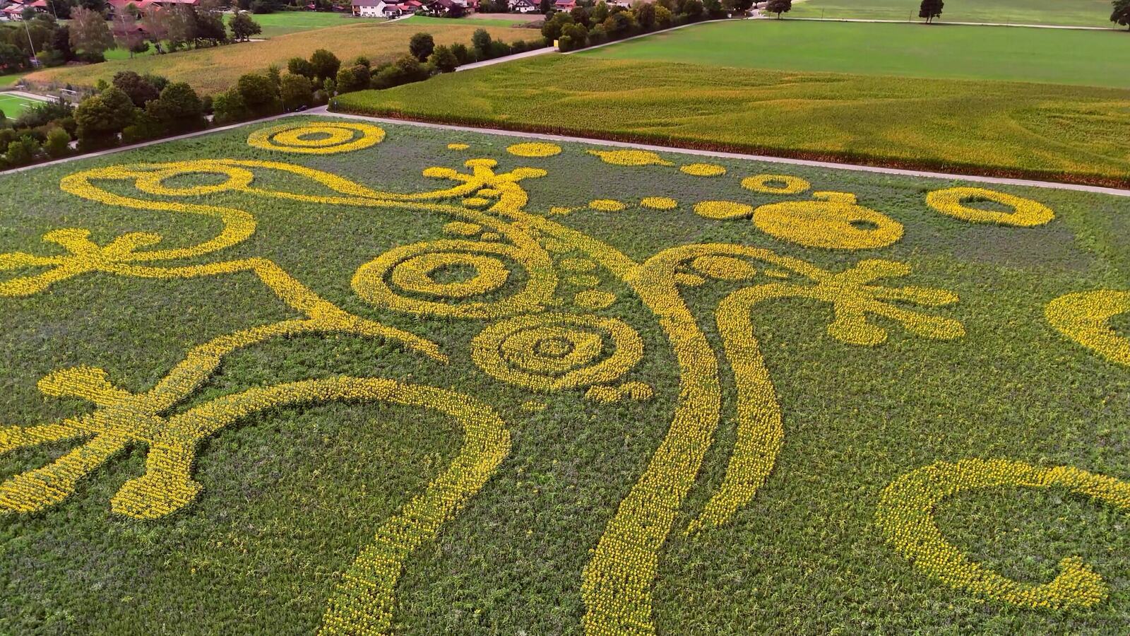 Riesige Mystery Things Eidechse aus Sonnenblumen als Naturkunst und OOH-Motiv
