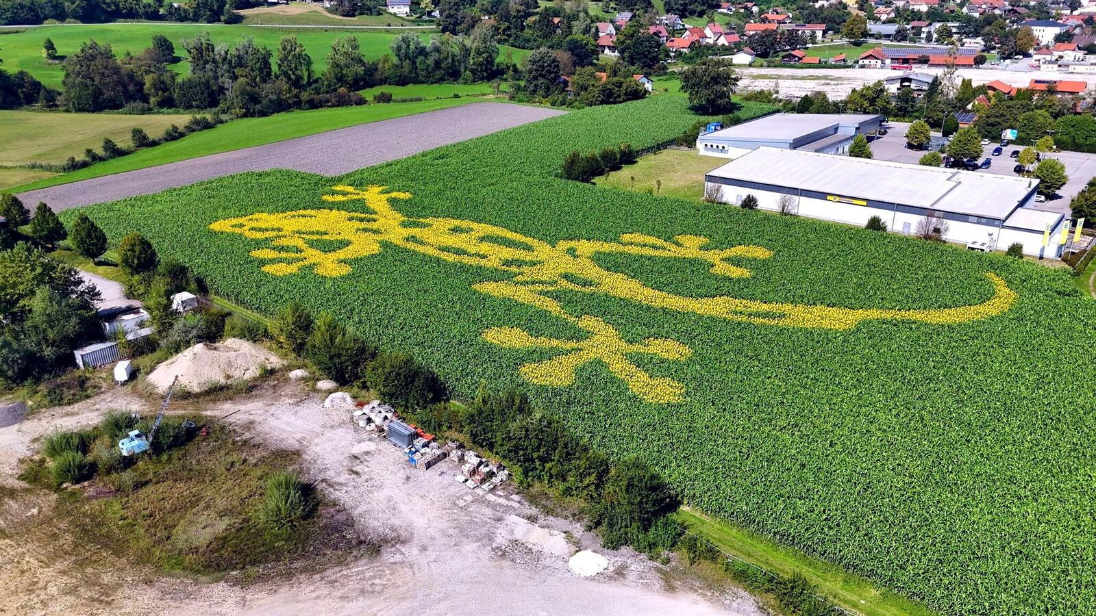 GEOXIP Vector-Seed®: hochpräzise Präzisionssaat für großflächige Geobrandings, Geoglyphen und OOH-Land-Art im Feld